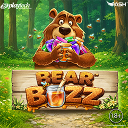 Bear Buzz