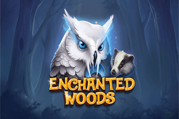 Enchanted Woods