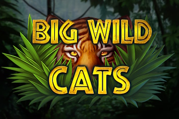 Big Wild Cats