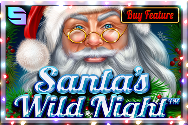 Santas Wild Night