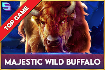 Majestic Wild Buffalo
